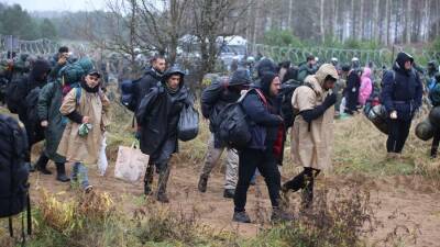 Постпред Польши анонсировал обсуждение в ООН ситуации с мигрантами на границе