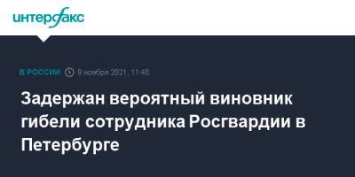 Задержан вероятный виновник гибели сотрудника Росгвардии в Петербурге