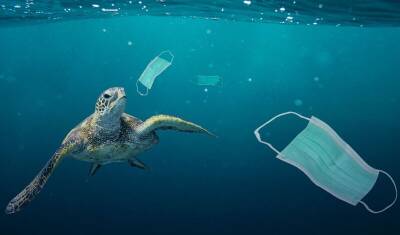 В Мировой океан попало 26 000 тонн ковидных пластиковых отходов