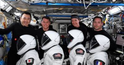 200 дней позади: астронавты SpaceX Crew-2 вернулись на Землю (фото, видео)