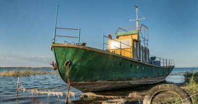 Арнасайские озера в Узбекистане отдадут в аренду рыбоводам