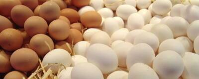 В Тульской области производство яиц увеличилось на 35,6%