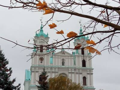 До +5°С ожидается в Беларуси 9 ноября