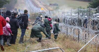 Мигранты начали резать колючую проволоку на границе с Польшей