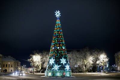 К 21 декабря в Пскове установят главную новогоднюю ель
