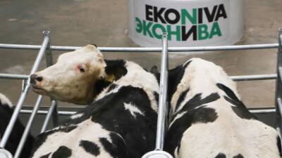 Агрохолдинг «ЭкоНива» заморозил строительство завода молочных продуктов под Новосибирском