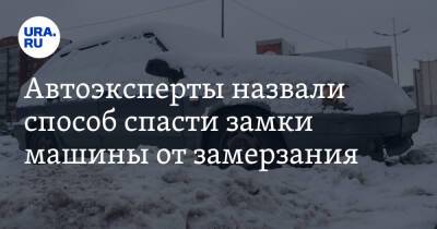 Петр Шкуматов - Автоэксперты назвали способ спасти замки машины от замерзания - ura.news