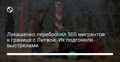 Лукашенко перебросил 500 мигрантов к границе с Литвой. Их подгоняли выстрелами