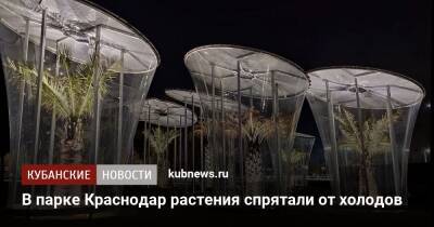 В парке Краснодар растения спрятали от холодов