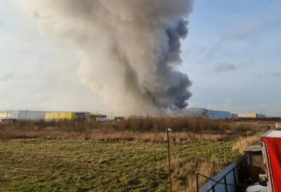 Шушары заволокло дымом после крупного пожара на местном складе — фото