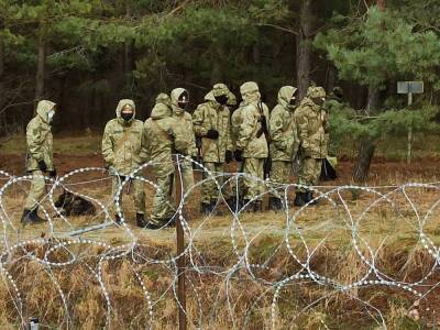 Миграционный кризис. Литва вводит на границе с Беларусью чрезвычайное положение