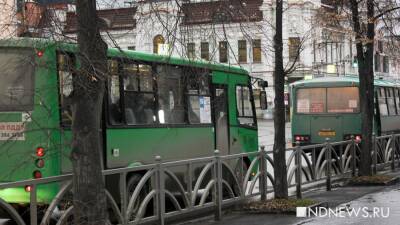 Власти не будут вводить QR-коды в общественном транспорте