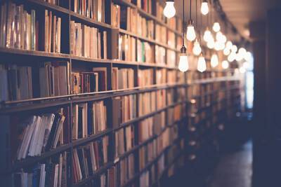 В Ленобласти пообещали дать доступ к библиотекам жителям без QR-кодов