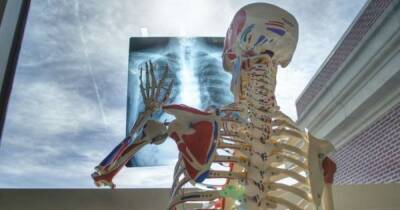 Создан самый чувствительный рентген аппарат: он покажет человеческие клетки в реальном времени