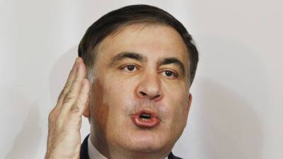 Посол Грузии на Украине отозвал предложение встретиться с омбудсменом по поводу Саакашвили
