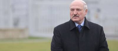 Лукашенко осуждает борьбу с мигрантами силовым путём
