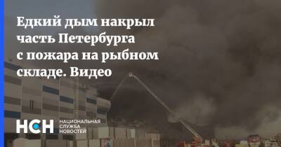 Едкий дым накрыл часть Петербурга с пожара на рыбном складе. Видео