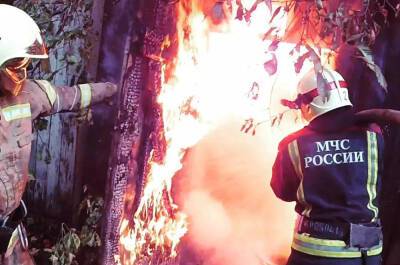 За неделю на пожарах в Рязанской области погибли четыре человека