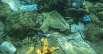 Ученые: более 25 тысяч тонн пластика оказались в океане из-за пандемии