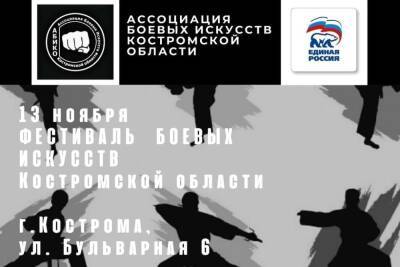 В субботу в Костроме пройдет III Фестиваль боевых искусств