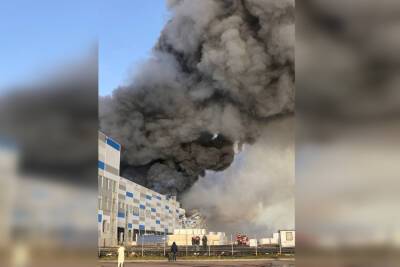 Прокуратура Петербурга начала проверку после пожара на складе в Шушарах