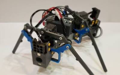 Американские учёные изобрели роботов-муравьёв для полёта в космос - Русская семерка