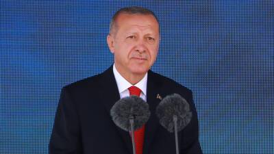 Эрдоган анонсировал строительство двух новых атомных электростанций в Турции
