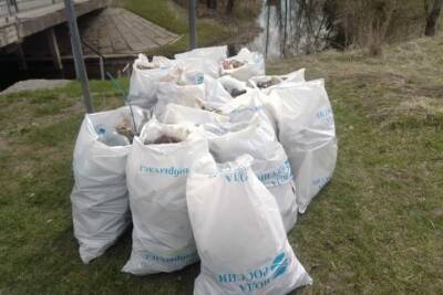 73 км берегов озёр и рек очистили в Псковской области