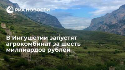 В Ингушетии запустят вторую очередь агрокомбината "Сунжа" за шесть миллиардов рублей