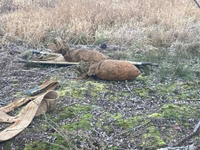 Два огромных снаряда времен войны нашли во Всеволожском районе — фото