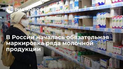 В России началась обязательная маркировка молочной продукции сроком хранения до 40 суток