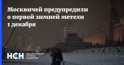 Роман Вильфанда - Москвичей предупредили о первой зимней метели 1 декабря - nsn.fm - Москва