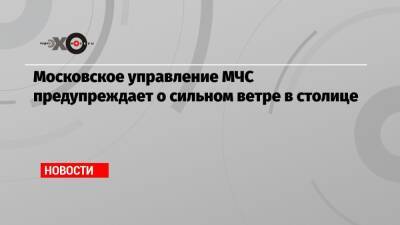 Московское управление МЧС предупреждает о сильном ветре в столице