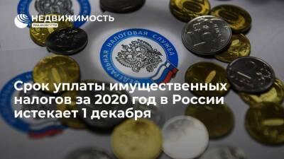 Срок уплаты имущественных налогов за 2020 год в России истекает 1 декабря