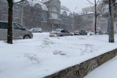 Сильный снег и шквальный ветер сковали дороги Хабаровска