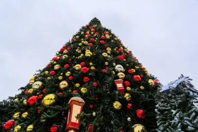 В Новосибирске 1 декабря заработает иллюминация главной новогодней ёлки