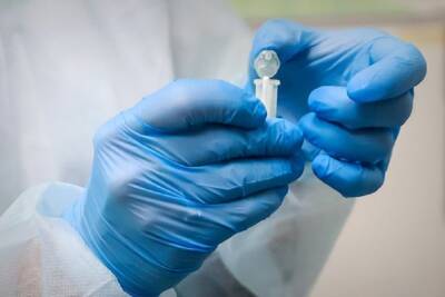 Срок действия ПЦР-теста сократят из-за нового штамма коронавируса