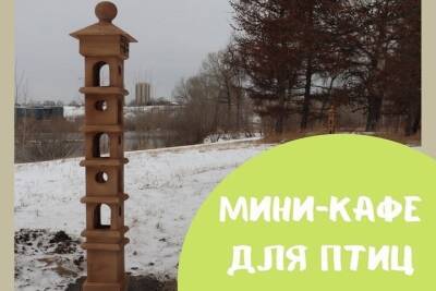 Птичье кафе на Татышеве, новое приложение для парковок и гибель пассажира в свой день рождения - главное в Красноярске к 1 декабря