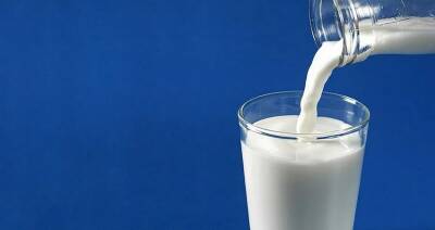Производство молока планируют увеличить до 9,2 млн т в год