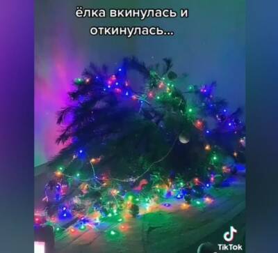 Юлин ТОПчик. Новогодняя катастрофа: как спасти елку от детей и животных