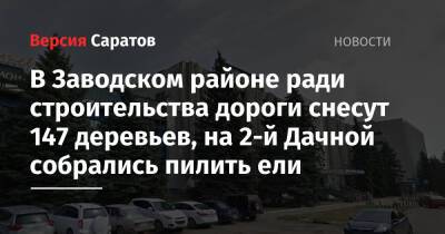 В Заводском районе ради строительства дороги снесут 147 деревьев, на 2-й Дачной собрались пилить ели