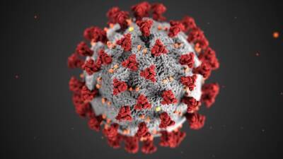 Вспышка коронавируса произошла в ЮАР после выявления нового штамма "Омикрон"
