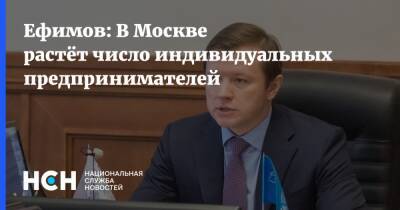 Ефимов: В Москве растёт число индивидуальных предпринимателей