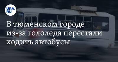 В тюменском городе из-за гололеда перестали ходить автобусы - ura.news - Тюмень - Омск - Ялуторовск - район Ялуторовский