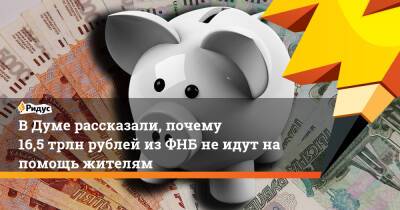 В Думе рассказали, почему 16,5 трлн рублей из ФНБ не идут на помощь жителям