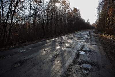 В Челябинской области срубили лес на территории заказника