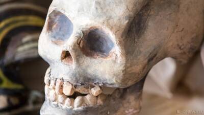 В Тюмени в коллекторе нашли чьи-то кости