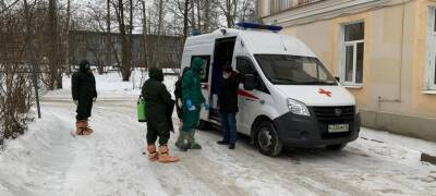 За минувшие сутки 65 детей в Карелии заразились коронавирусом