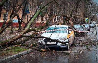 В Москве из-за штормового ветра получили травмы две женщины