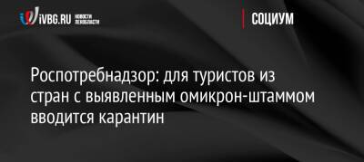 Роспотребнадзор: для туристов из стран с выявленным омикрон-штаммом вводится карантин